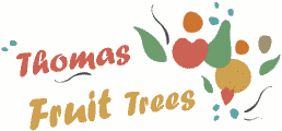 Thomas Fruit Trees logo