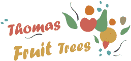 Thomas Fruit Trees logo