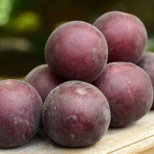 Pluot 'Cierna Marhula'