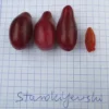Cornus mas 'Starokijewskij'