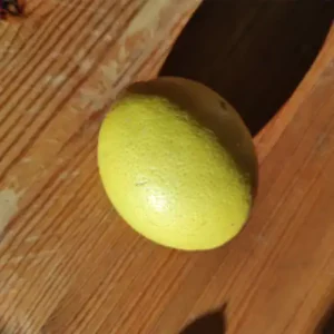 Citronnier 'Meyer'