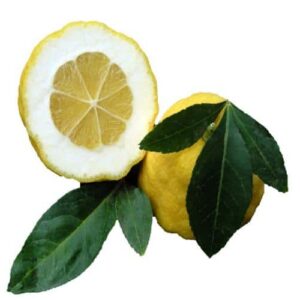 Citrumelo CPB-4475
