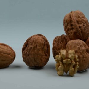 Noyer 'Fernor'