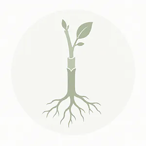 Rootstocks for sale