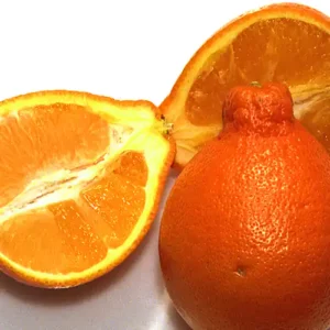 Tangelo