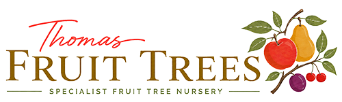 Thomas Fruit Trees