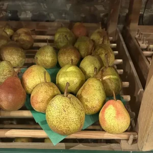 Duchesse d’Angoulême