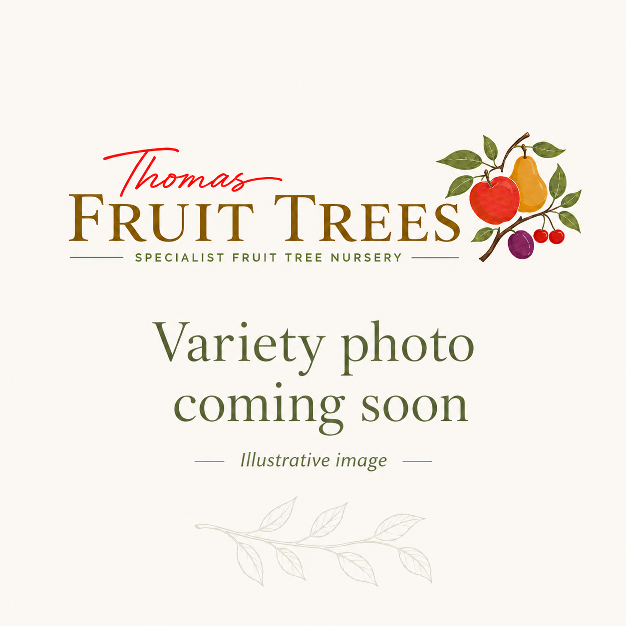Variety photo coming soon – Domaines